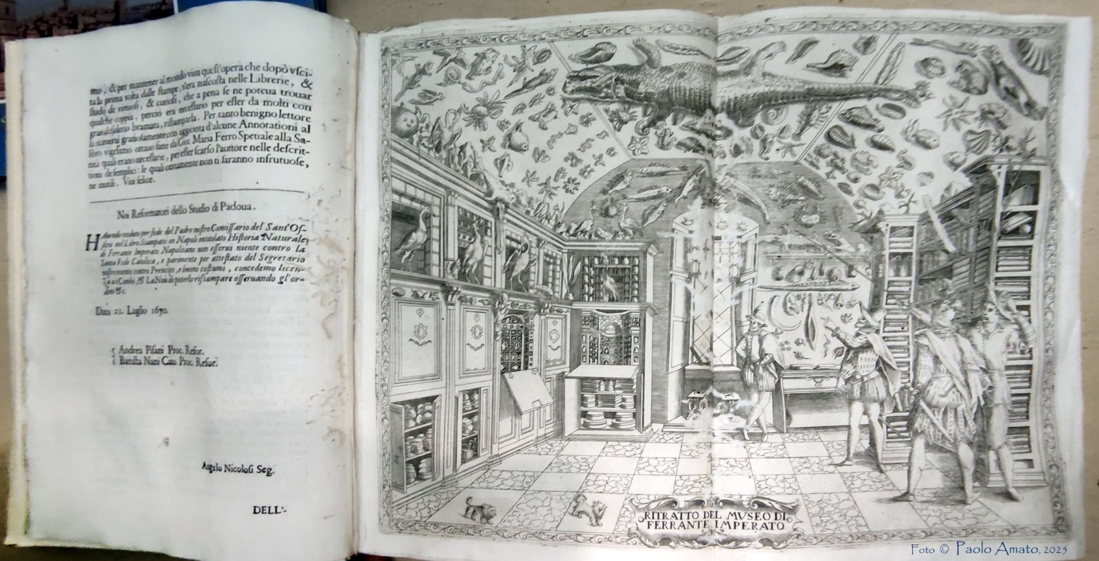 Visita alla Biblioteca Ursino Recupero